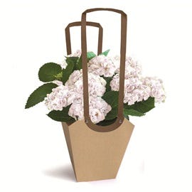 Sacs fleuriste