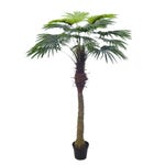 Palmier dans pot H. 200 cm