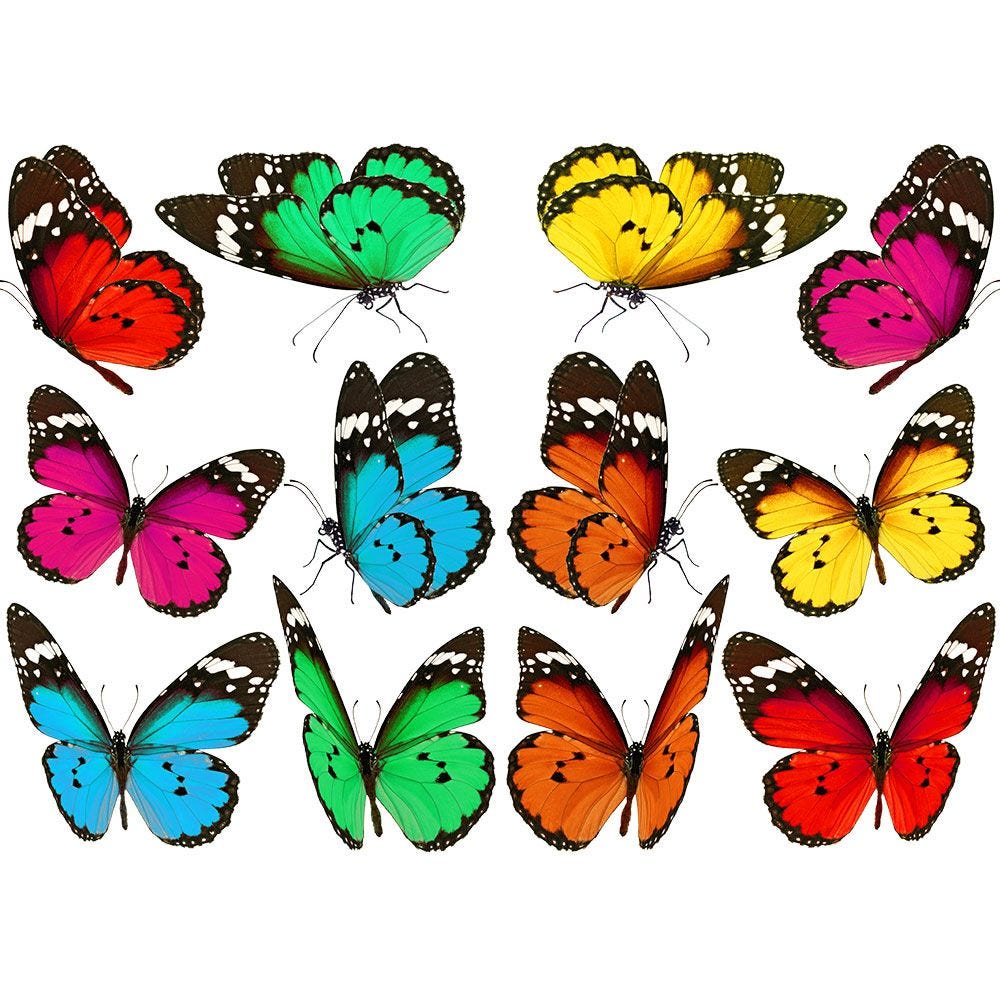 Vitrophanie papillons multicolores - 50 x 70 cm