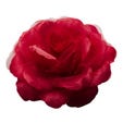 Roses tissu bordeaux ø 15 cm - par 12