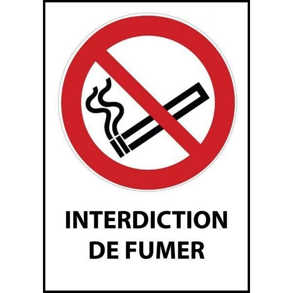 Panneau 'interdiction de fumer' p002 pvc double face à suspendre a3