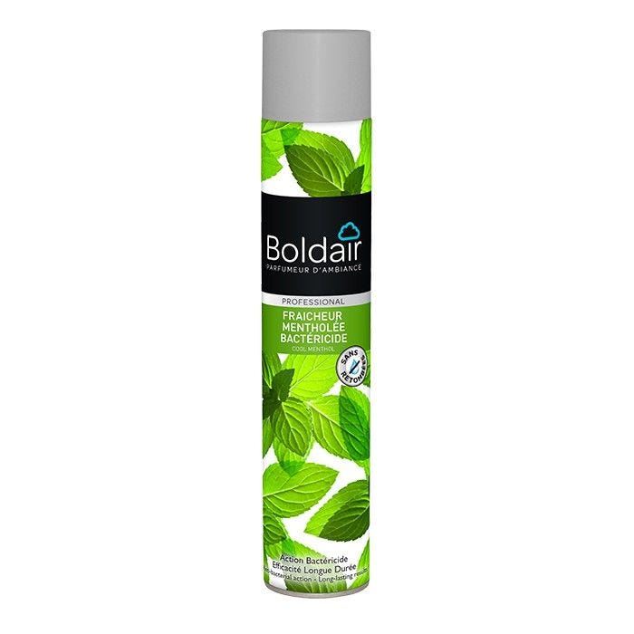 Aérosol bactéricide fraicheur mentholée Boldair 500 ml par 6 Aérosol bactéricide fraicheur mentholée Boldair 500 ml par 6