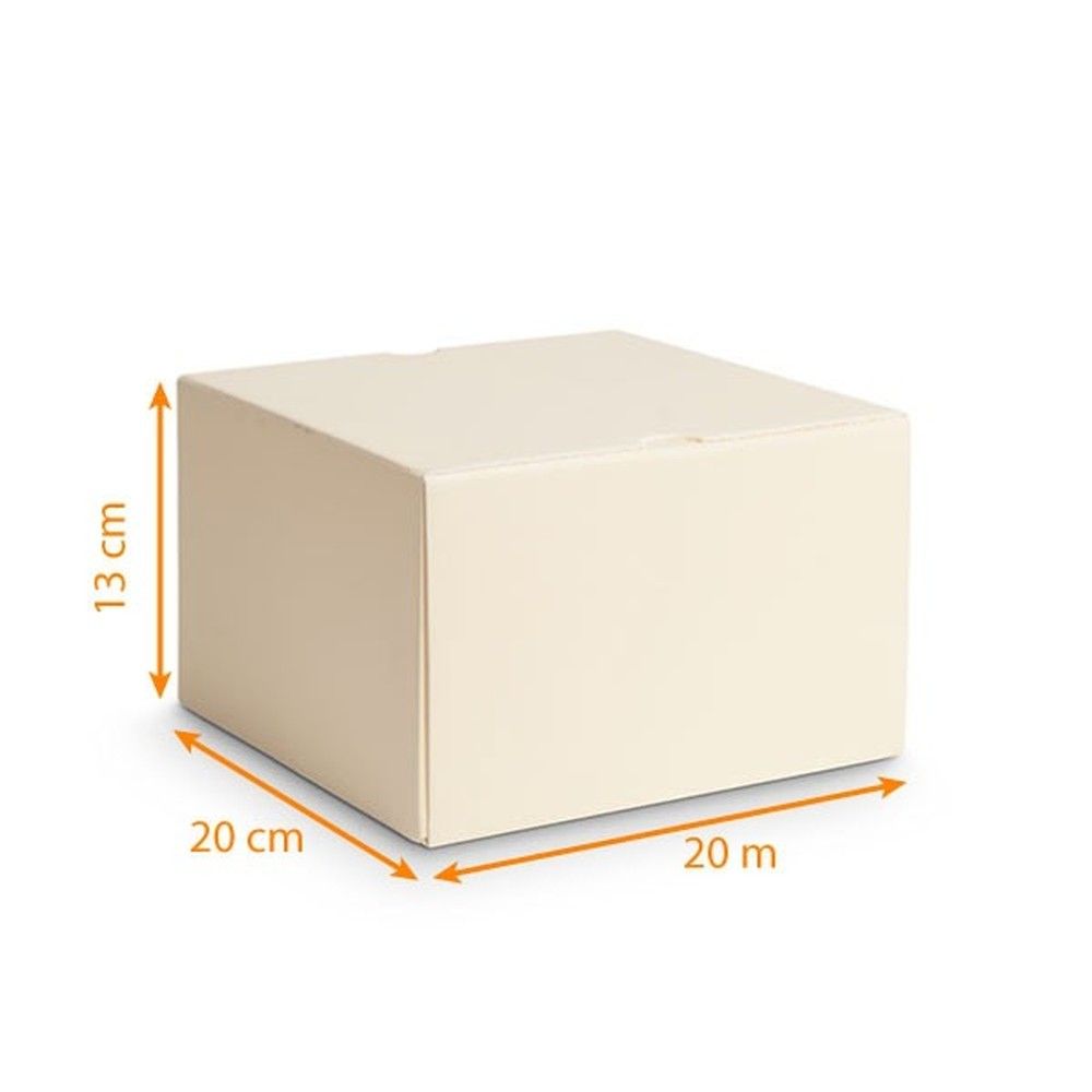 Boîte à glace isolante par 25 20x20x13cm vanille Boîte à glace isolante par 25 20x20x13cm vanille