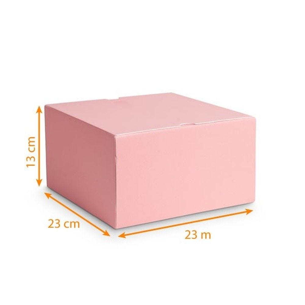 Boîte à glace isolante par 25 23x23x13cm rose Boîte à glace isolante par 25 23x23x13cm rose